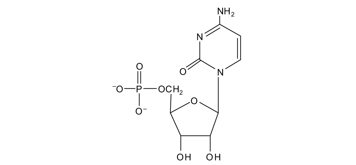 cytosine nucleotide structure