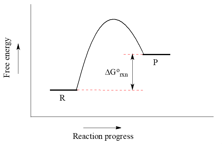 Graph of free energy against reaction progress. Products have more energy than reactants.