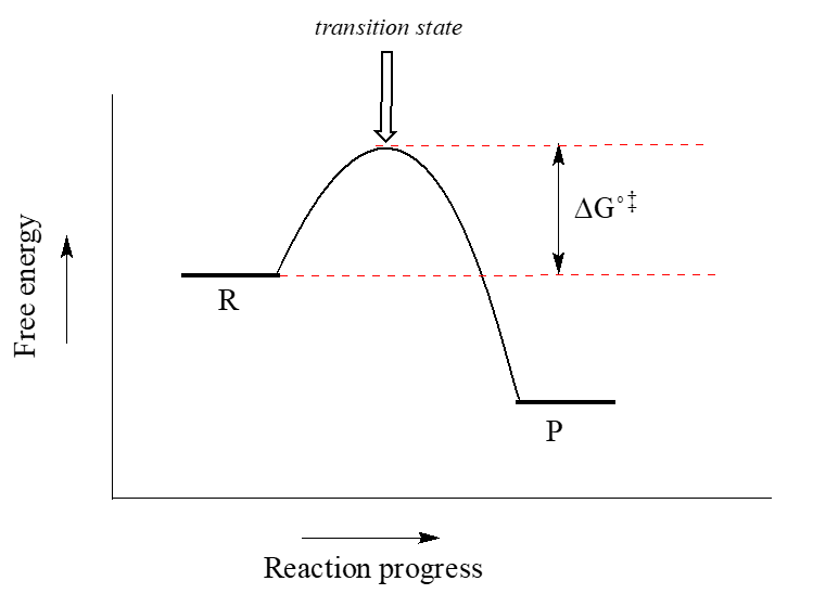 El pico en el diagrama se conoce como estado de transición.