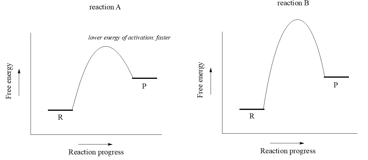 Reaction A has a lower energy of activation compared to reaction B, this means that reaction A is faster than reaction B. 