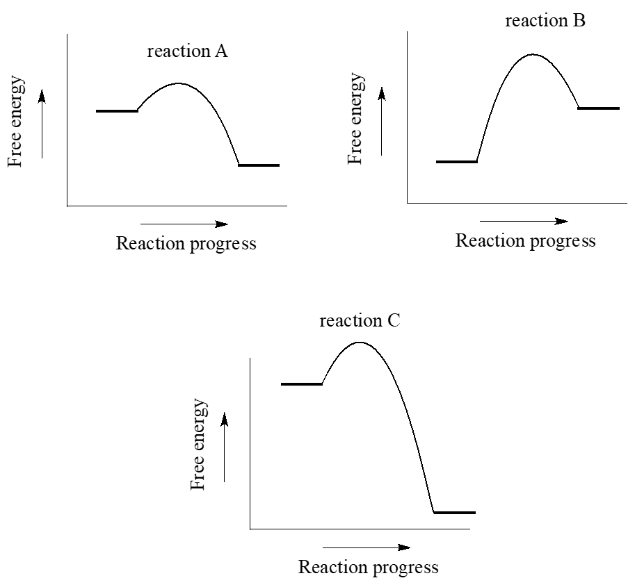 Los reactivos de la Reacción A tienen más energía que los productos. Los productos de la reacción B tienen más energía que los reactivos. Los reactanos de la reacción C tienen más energía que los productos. La reacción A tiene una menor energía de activación en comparación con la reacción B y la reacción C. La reacción B tiene una menor energía de activación en comparación con la reacción C.