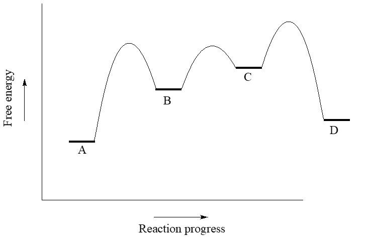 The diagram has three transition states and two intermediates. The products have more energy than the reactants. Both intermidates have more energy than the reactans and products. The second intermediate has more energy than the first intermediate. The First transiton state and the third transiton state have almost equal activation energies. The second transition state has the lowest activation energy. 