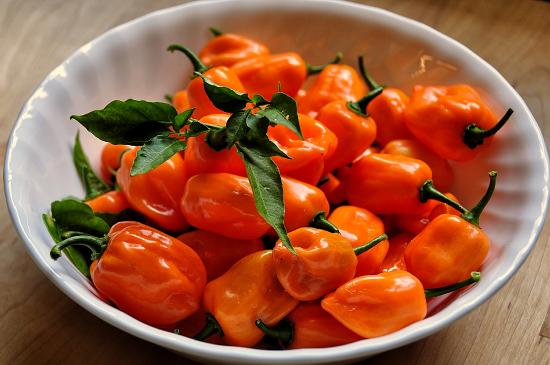 Orange habanero peppers sit in a white bowl.