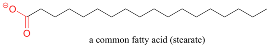 Bond line drawing of stearate, a common fatty acid. 