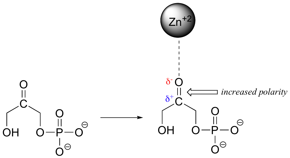 Con una interacción iónica dipolo, se incrementa la polaridad entre las partes parcialmente cargadas positivas y parcialmente negativas de la molécula.