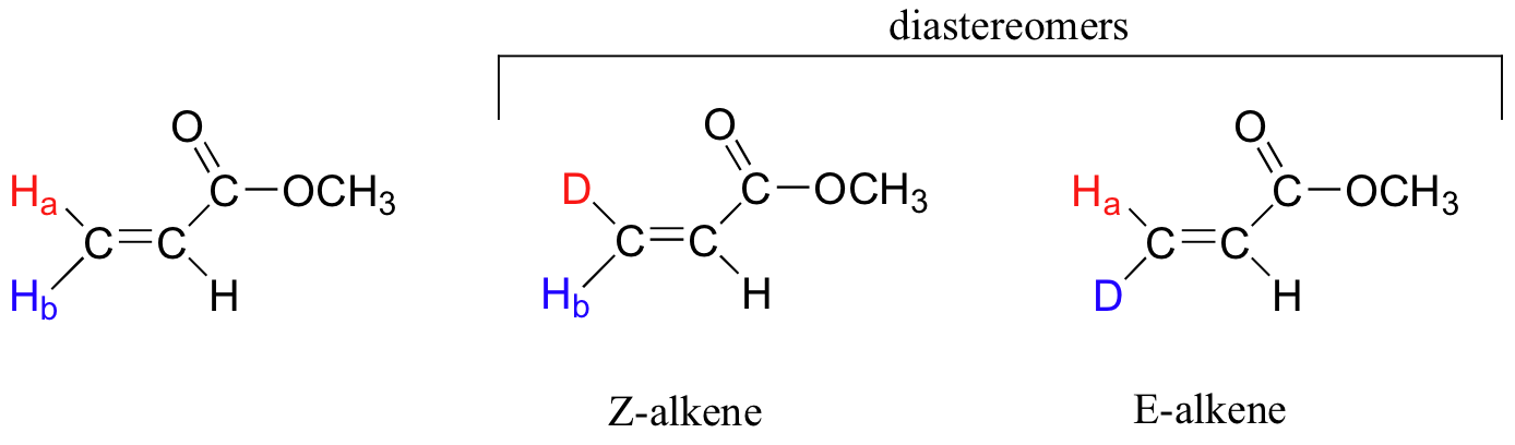 Alqueno con dos hidrógenos en carbono izquierdo (H A apuntando hacia arriba y H B apuntando hacia abajo). Dos estructuras del mismo alqueno; la molécula derecha tiene H A cambiado a D (Z-alqueno) y la molécula izquierda tiene H B cambiado a D (E-alqueno). Diastereoisómeros unos de otros.