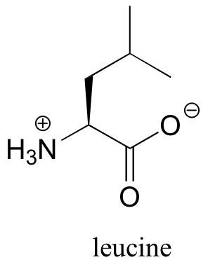 Molecule of leucine.
