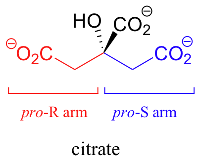 Citrate molecule. Two identical "arms" (C H 2 C O 2 minus); one red and one blue. Red labeled pro-R arm and blue labeled pro-S arm.