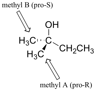 Carbon attached to a hydroxyl group, an ethyl group and two methyl groups (one on dashes on and one on a wedge). Wedged methyl labeled methyl A (pro-r). Dashed methyl labeled methyl B (pro-S).