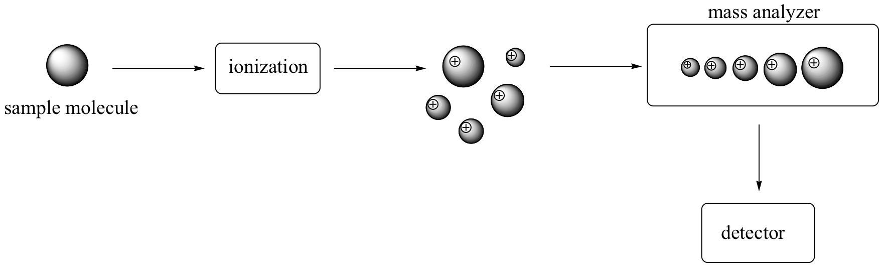 Molécula de muestra representada como una bola. Flecha apuntando de molécula a ionización. Flecha de ionización a cinco bolas con cargas positivas. Flecha de bolas a analizador de masa con las bolas en una línea en orden de tamaño. Por último, una flecha que va al detector.