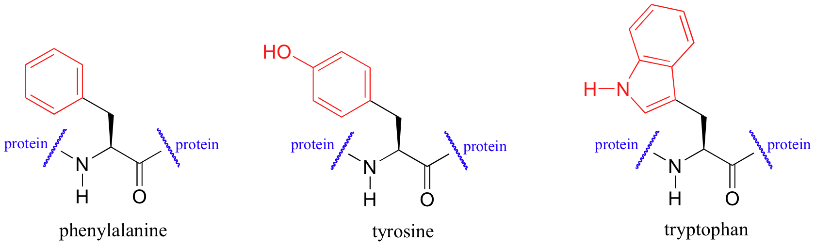 Three aromatic amino acids. From left to right: phenylalanine, tyrosine, tryptophan.
