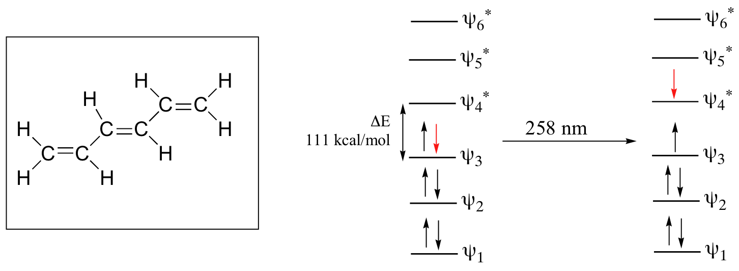 Diagrama orbital molecular para 1,3,5-hexatrieno. Tres orbitales de unión y tres orbitales antiadhesión. Seis electrones en los orbitales de unión. Cuando se agregan 258 nanómetros de luz, un electrón pasa a un orbital antienlace.