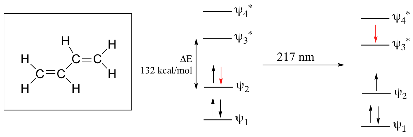 Molecular orbital diagram for 1,3-butadiene. Two bonding orbitals and two antibonding orbitals. Two electrons in each bonding orbital. 217 nanometers of U V light cause one electron from the second bonding orbital transitions to first antibonding orbital. 