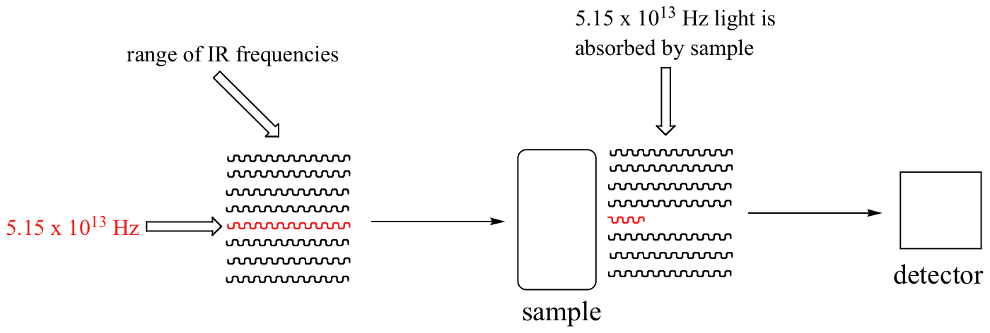 Range of I R frequencies represented by squiggly lines. 5.15 times 10 to the 13th Hertz bolded in red. Arrow pointing towards a sample; red frequency becomes shorter. Text: 5.15 times 10 to the 13th Hertz light is absorbed by sample. Final arrow from sample to detector.