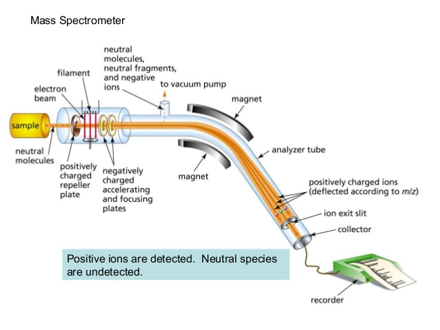 Diagram of mass spectrometer. Text: positive ions are detected. Neutral species are undetected.