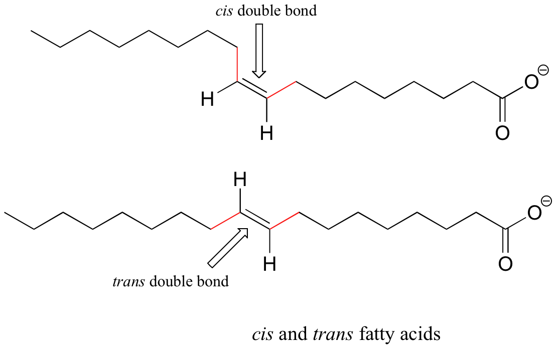 Ácidos grasos cis y trans. Parte superior: ácido graso con doble enlace cis. Parte inferior: ácido graso con doble enlace trans.
