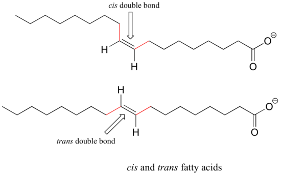 Cis and trans fatty acids. Top: fatty acid with a cis double bond. Bottom: fatty acid with a trans double bond.