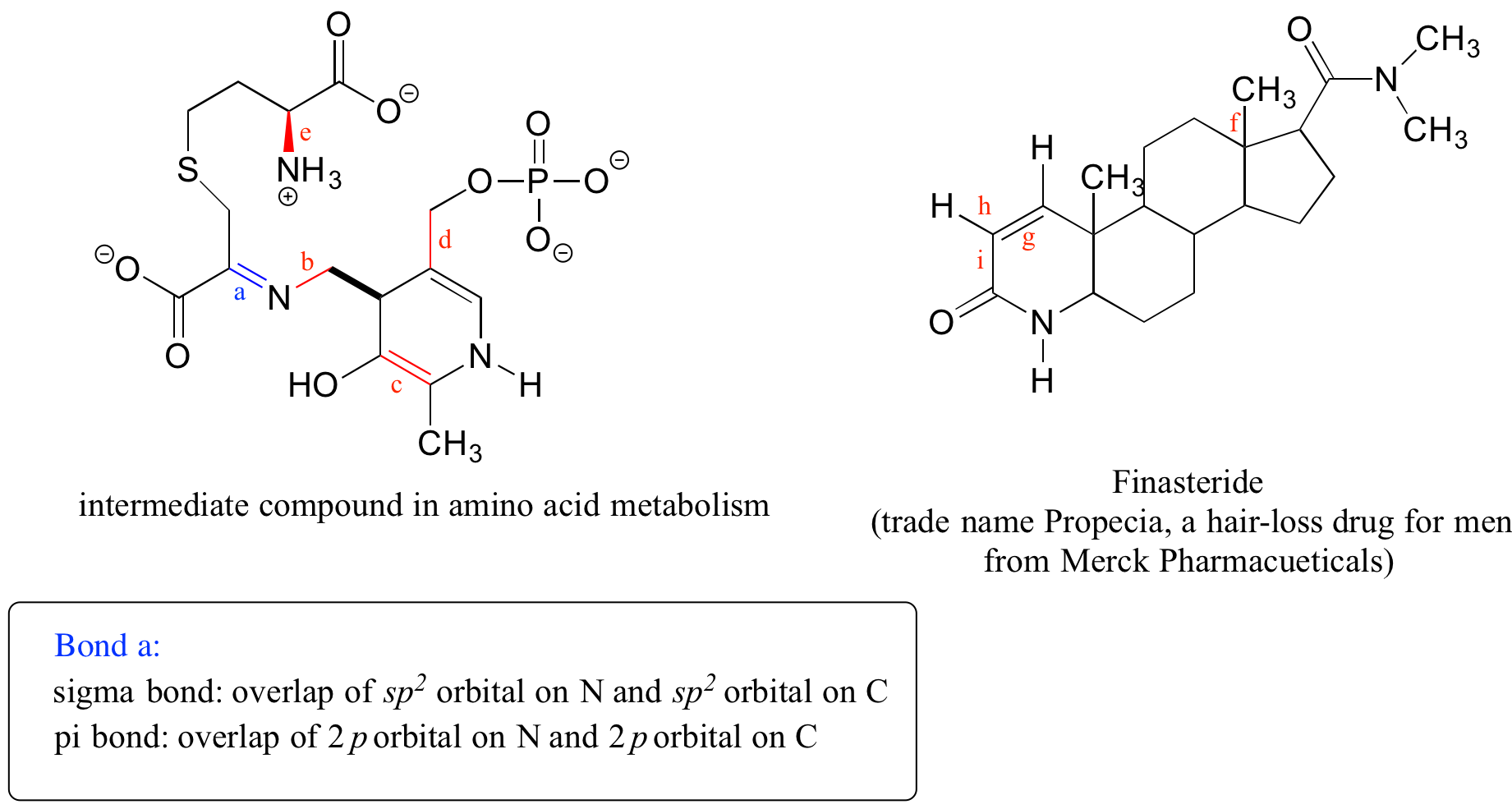The molecules are the intermediate compound in amino acid metabolism and finasteride. 