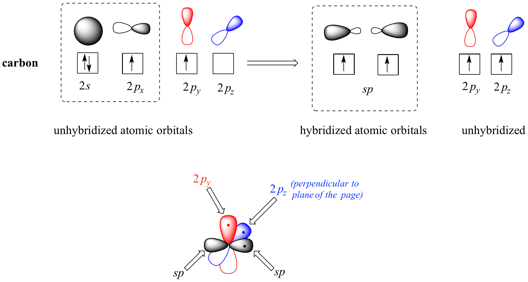 The carbon in ethyne has a full 2 s orbital and two unpaired electrons in the 2 p orbital. After hybridizing, the carbon has two unpaired electrons in the sp orbital and two unpaired electrons in the unhybridized 2 p orbital. 