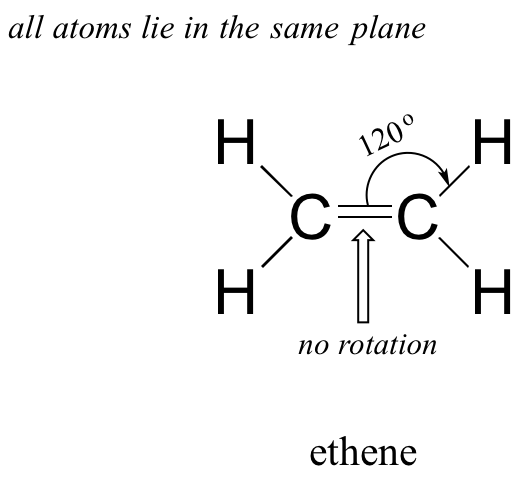 All atoms lie in the same plane and there is no rotation of ethene