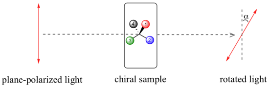 Beam of plane-polarized light passed through a chiral compound (carbon with four different colored atoms labeled 1 through 4) to form rotated light at alpha degrees. 