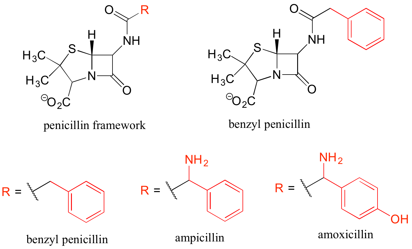 Arriba a la izquierda: marco de penicilina con una R roja unida a la parte superior izquierda. Arriba a la derecha: bencilpenicilina; mismo entramado de penicilina pero con un grupo bencilo en lugar de R. La fila inferior muestra diferentes grupos R podría ser. Bencilpenicilina; R = grupo bencilo. Ampicilina: R = grupo bencilo con un grupo amino. Amoxicilina: R = grupo bencilo con un grupo amino y un grupo hidroxi.