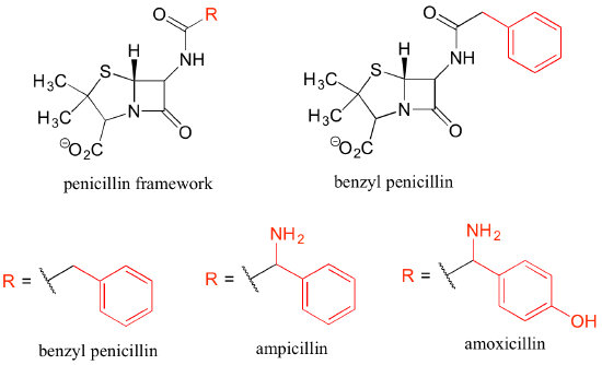 Top left: penicillin framework with a red R attached to the top left. Top right: benzyl penicillin; same penicillin framework but with a benzyl group instead of an R. Bottom row shows different groups R could be. Benzyl penicillin; R = benzyl group. Ampicillin: R = benzyl group with an amino group. Amoxicillin: R = benzyl group with an amino group and hydroxy group.