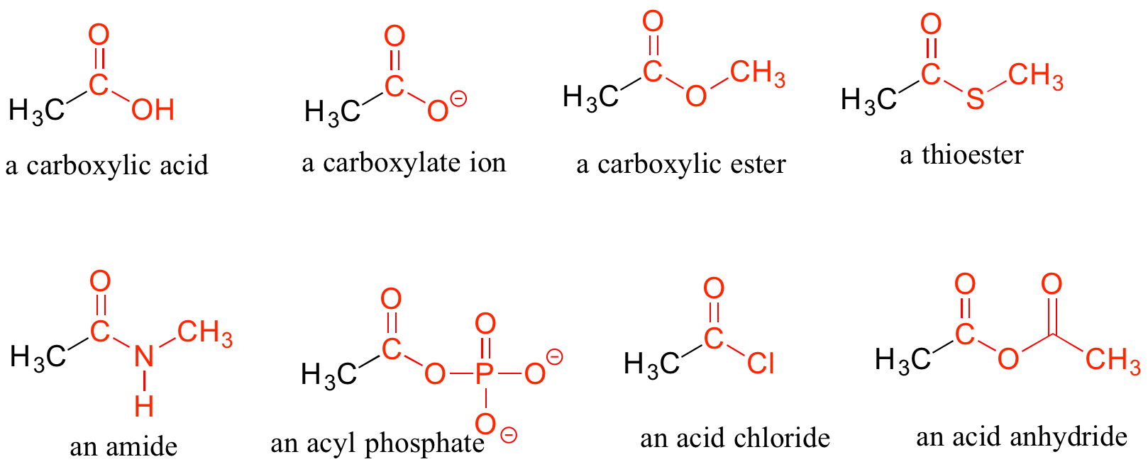Carboxylic acid derivatives. Carboxylic acid: Carbon double bonded to oxygen and single bonded to one carbon and one hydroxy group. Carboxylate ion: Carbon double bonded to oxygen and single bonded to one carbon and one oxygen. The oxygen is not bonded to a hydrogen so it has a negative charge. Carboxylic ester: carbon double bonded to oxygen and single bonded to one carbon and one oxygen. The oxygen is bonded to another carbon. Thioester: Carbon double bonded to oxygen and single bonded to one carbon and one sulfur. The sulfur is bonded to another carbon. Amide: Carbon double bonded to oxygen and single bonded to one carbon and one nitrogen. The nitrogen is bonded to another carbon and a hydrogen. Acyl phosphate: carbon double bonded to oxygen and single bonded to one carbon and one oxygen. The oxygen is part of a phosphate group. Acid chloride: Carbon double bonded to oxygen and single bonded to one carbon and one chlorine. Acid anhydride: Carbon double bonded to one oxygen and single bonded to one carbon and one oxygen. The oxygen is bonded to another carbon with a double bonded oxygen.