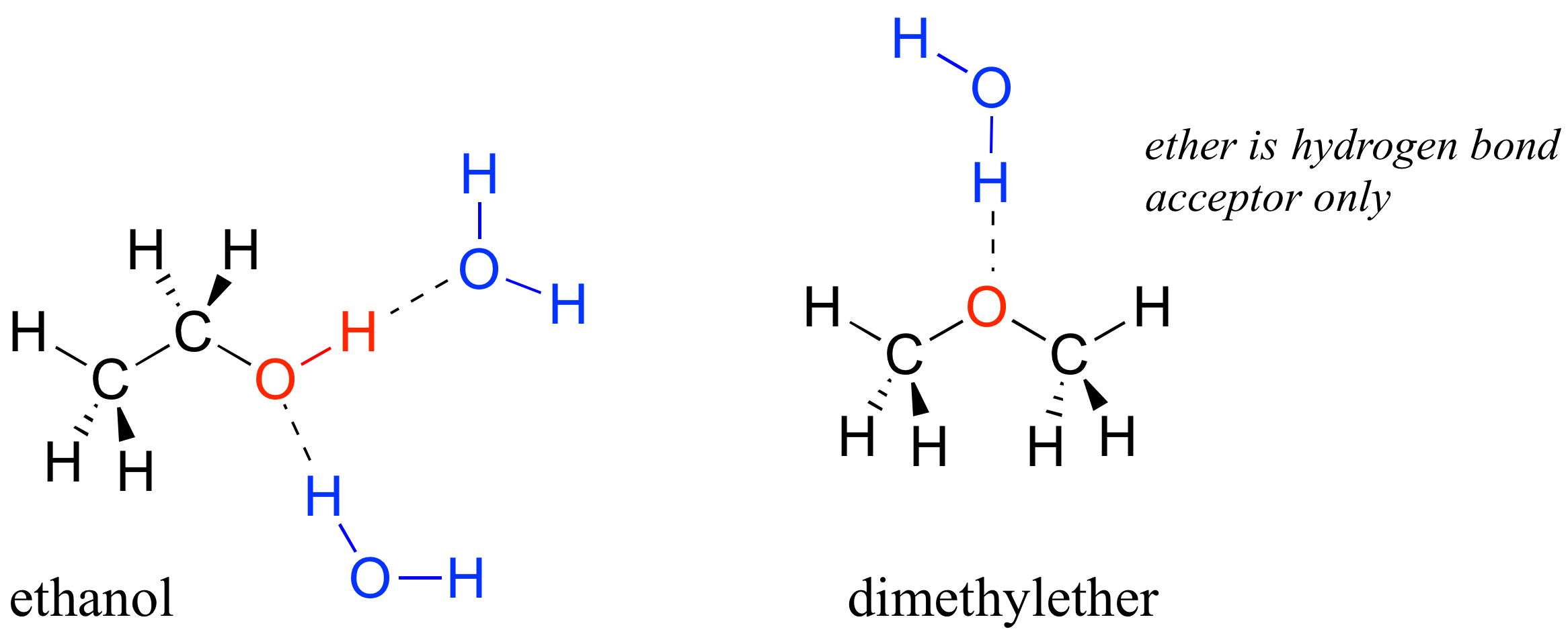Dibujo lineal de enlace de etanol y éter dimetílico. El éter en el éter dimetílico es solo un aceptador de enlaces de hidrógeno.