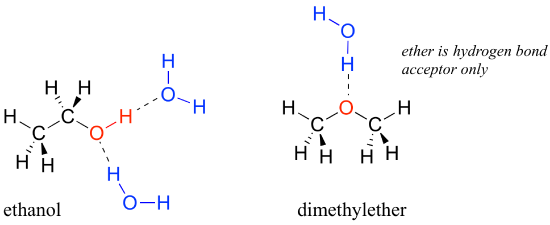 Bond line drawing of ethanol and dimethyl ether. The ether in dimethyl ether is a hydrogen bond accepter only. 