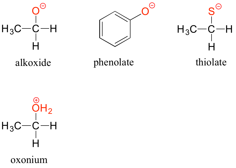 Formas desprotonadas de grupos funcionales. Alcóxido: alcohol a cuyo grupo hidroxi le falta hidrógeno. Fenolato: grupo fenol a cuyo grupo hidroxi le falta hidrógeno. Tiolato: Tiol sin hidrógeno unido al azufre. Los tres tienen una carga negativa general. Ion oxonio: Alcohol protonado cuyo grupo hiroxi tiene un extra de hidrógeno. Carga positiva general.