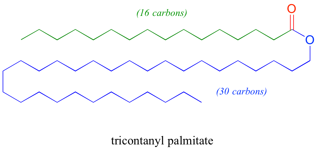 Palmitato de tricontanilo: ácido graso de 16 carbonos (verde) unido a alcohol de 30 carbonos (azul).