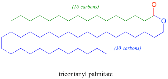 Tricontanyl palmitate: 16 carbon fatty acid (green) attached to 30 carbon alcohol (blue).
