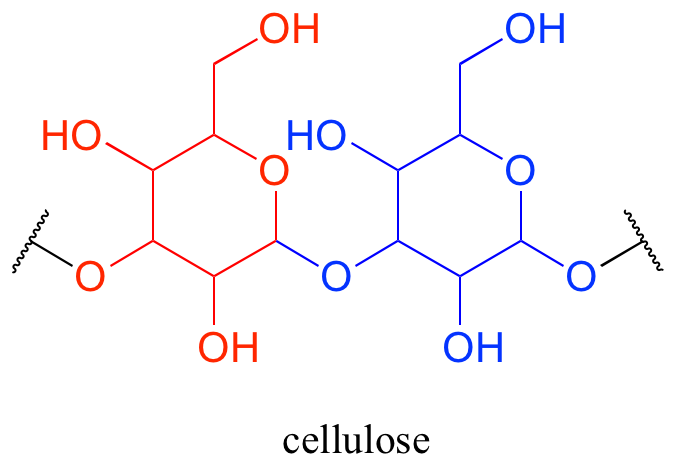 Molécula de celulosa: un oligosacárido. Repetición indicada por marcas de rotura.