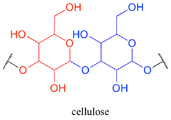 Cellulose molecule: an oligosaccharide. Repetition indicated by break marks.