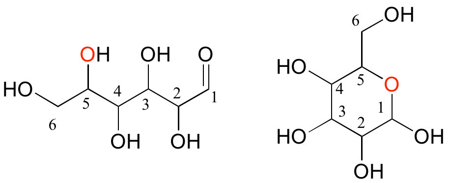 Izquierda: monosacárido lineal con grupo aldehído. Derecha: monosacárido cíclico con grupo cetona.