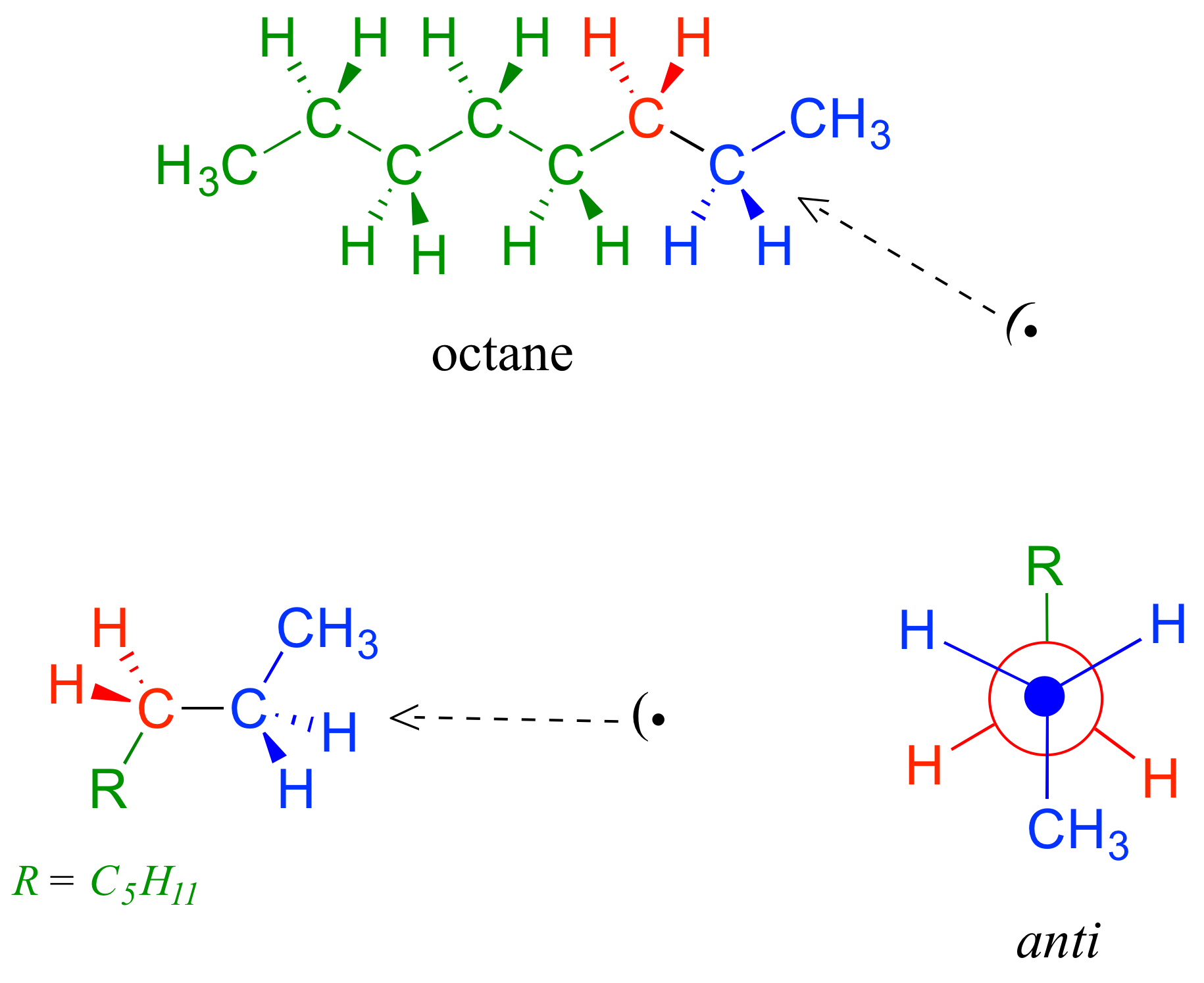 Estructura lineal y estructura en zigzag de la molécula de octano con C 2 y sus sustituyentes en azul, C 3 y sus sustituyentes en rojo y los carbonos restantes en verde. Va a la proyección Newman en anti con carbono 4 a 8 convirtiéndose en “R” en la parte posterior hacia arriba.