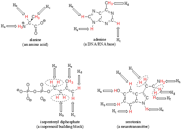 Cuatro moléculas biológicas con hidrógenos escritos y etiquetados. Arriba a la izquierda: alanina (un aminoácido); Hidrógenos de la a a c. Arriba a la derecha: adenina (una base de ADN/ARN); Hidrógenos de la a a la d. Abajo a la izquierda: difosfato de isopentenilo (un bloque de construcción de isoprenoides); Hidrógenos de la A a la E. Abajo a la derecha: serotonina (un neurotransmisor); hidrógenos A a I