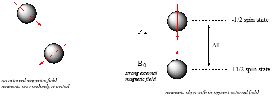 Izquierda: dos protones apuntando en diferentes direcciones. Texto: sin campo magnético externo; los movimientos están orientados aleatoriamente. Derecha: Fuerte campo magnético externo. Los protones se alinean; uno en estado de giro menos 1/2 y uno en estado de giro más 1/2. Texto: los movimientos se alinean con o contra el campo externo.