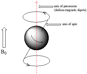 Diagrama de giro de protones. El texto etiqueta la flecha discontinua roja que va hacia arriba a través del protón como eje de precisión (define el dipolo magnético). Etiquetas de texto flecha circular negra saliendo del protón como eje de giro.