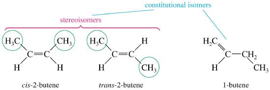 geometric vs struct isomers.jpg