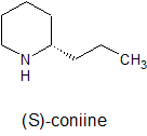 S coniine with name.png