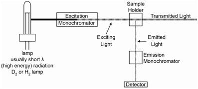 A fluorescence spectrophotometer consists of a lamp, usually a short lamda radiation lamp, an excitation monochromator, sample holder, emission monochromator, and detector.
