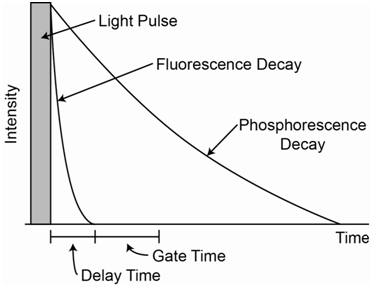 Intensity of a light pulse has much faster fluorescence decay than phosphorescence.
