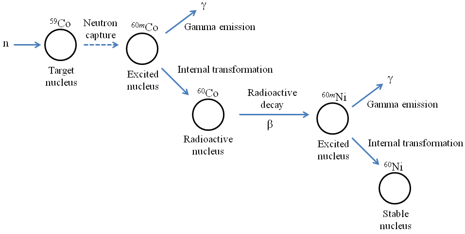 Esquema de análisis de activación de neutrones con 59Co como núcleo diana