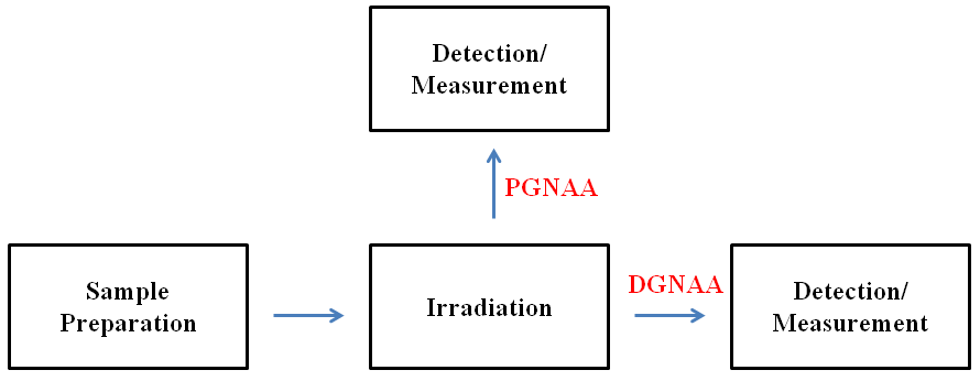 Comparación esquemática de PGNAA y DGNAA