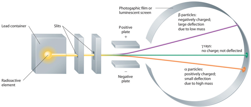 Schematic of a radioactive element in a lead container projected through slits to produce a narrow beam that impacts a photographic film. Two plates, one positive and one negative, deflect the beam depending on whether it is beta, gamma, or alpha. Beta particles deflect towards the positive plate and have a large deflection due to small mass. Alpha particles deflect towards the negative plate and have a small deflection due to high mass. Gamma rays do not deflect.