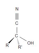 19.6 Nucleophilic Addition of HCN: Cyanohydrin Formation ...