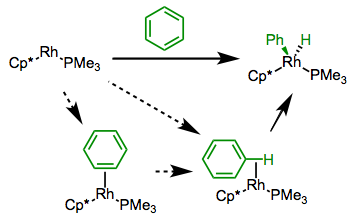 Mechanistic possibilities for the oxidative addition of arene C–H bonds.