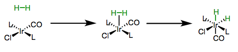 Oxidative addition of dihydrogen to Vaska's complex. Note the cis arrangement of the hydride ligands.